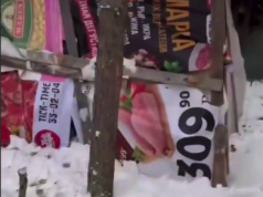 Мужчина скрывался в тайге 8 лет и всё-таки попался Мужчина скрывался в тайге 8 лет и всё-таки попался