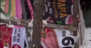 Мужчина скрывался в тайге 8 лет и всё-таки попался