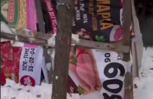 Мужчина скрывался в тайге 8 лет и всё-таки попался