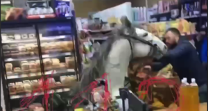 Мужчина «завалился» прямо на коне в продуктовый магазин в Сочи.