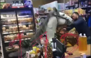 Мужчина «завалился» прямо на коне в продуктовый магазин в Сочи.