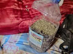 Россиянин хранил дома больше 30 кг наркотиков в память о погибшем друге