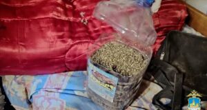 Россиянин хранил дома больше 30 кг наркотиков в память о погибшем друге