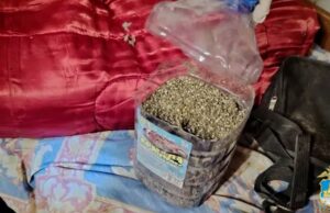 Россиянин хранил дома больше 30 кг наркотиков в память о погибшем друге