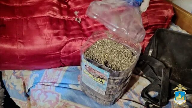 Россиянин хранил дома больше 30 кг наркотиков в память о погибшем друге