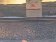 В Москве подростка зажало дверьми электропоезда и протащило по платформе В Москве подростка зажало дверьми электропоезда и протащило по платформе