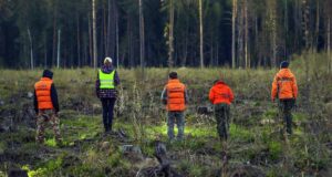 Поиск пропавших - РИА Новости, 1920, 18.03.2026