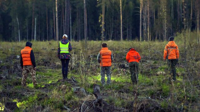 Поиск пропавших - РИА Новости, 1920, 18.03.2026