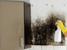 Избавление от плесени - РИА Новости, 1920, 23.03.2026