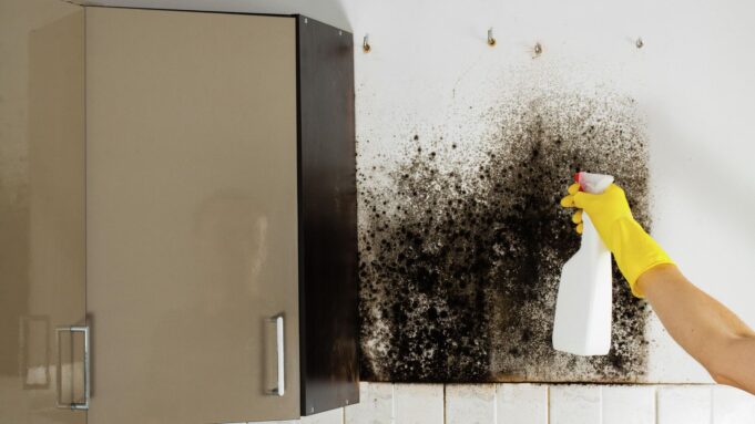 Пострадавшие от наводнения жители Орска судятся с застройщиком из-за плесени Избавление от плесени - РИА Новости, 1920, 23.03.2026