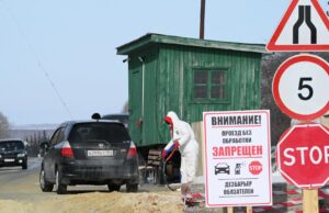 В Новосибирской области ввели режим ЧС из-за вспышки пастереллеза и бешенства у домашнего скота - РИА Новости, 1920, 20.03.2026