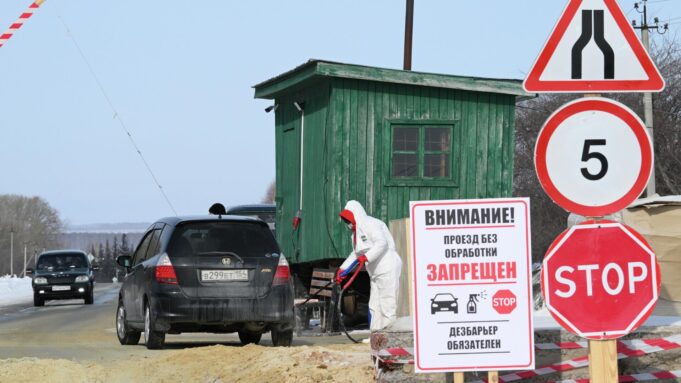 В Новосибирской области ввели режим ЧС из-за вспышки пастереллеза и бешенства у домашнего скота - РИА Новости, 1920, 20.03.2026