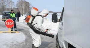 Нешумов: в Новосибирской области локализовали распространение пастереллеза Сотрудник ветеринарной службы дезинфицирует автомобиль в Новосибирской области, где введен карантин по пастереллезу скота - РИА Новости, 1920, 19.03.2026