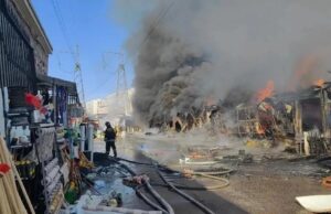 Пожар на строительном рынке в городском округе Солнечногосрск - РИА Новости, 1920, 20.03.2026