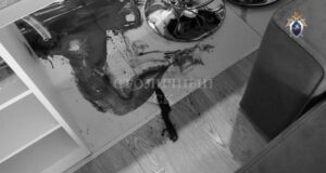 Место нападения на женщину на севере Москвы - РИА Новости, 1920, 25.03.2026