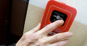 Пожарная сигнализация - РИА Новости, 1920, 24.03.2026