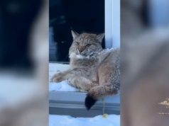 8wibhuwoq0te8m9ughd6y2mmkz9wp8fb