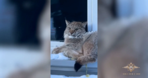 8wibhuwoq0te8m9ughd6y2mmkz9wp8fb