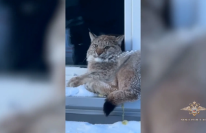 8wibhuwoq0te8m9ughd6y2mmkz9wp8fb