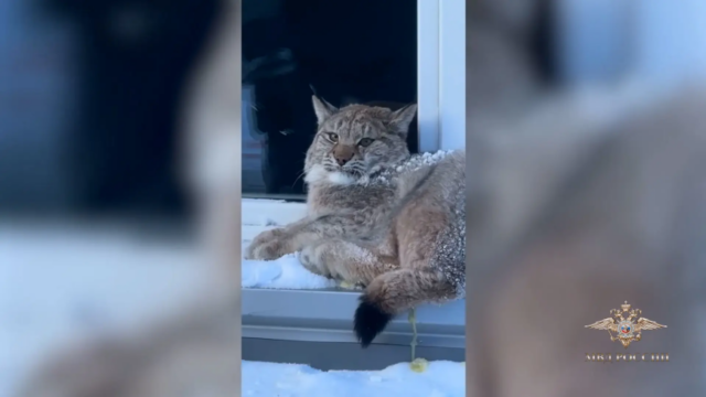 8wibhuwoq0te8m9ughd6y2mmkz9wp8fb