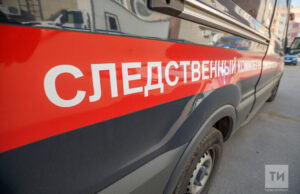 Председатель СК России затребовал доклад о ходе расследования уголовного дела, возбужденного по факту смерти двух детей в Курганской области bb901c64de0d005112d9572d96f20862_3_