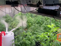 pg7ped2ev58lh4qrz04nddepabx0xple