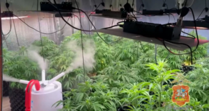 pg7ped2ev58lh4qrz04nddepabx0xple