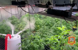 pg7ped2ev58lh4qrz04nddepabx0xple