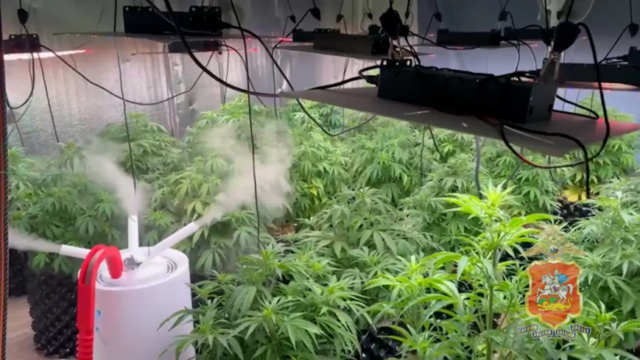 pg7ped2ev58lh4qrz04nddepabx0xple