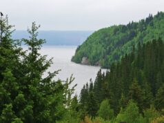 Пермский край - РИА Новости, 1920, 29.04.2026