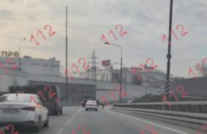 Обычное утро среды в столице. Две лошади — черная и рыжая — несутся по МКАДУ. Обычное утро среды в столице. Две лошади — черная и рыжая — несутся по МКАДУ.