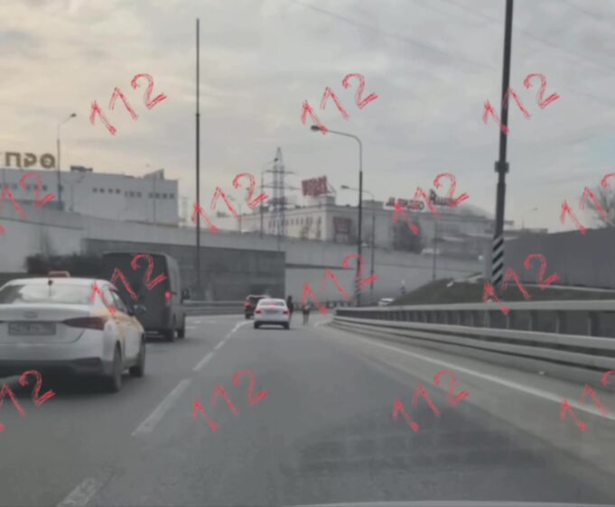 Обычное утро среды в столице. Две лошади — черная и рыжая — несутся по МКАДУ.