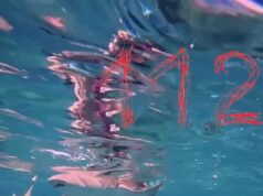 На Мальдивах экскурсия с акулами пошла не по плану.