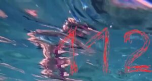 На Мальдивах экскурсия с акулами пошла не по плану.