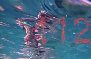 На Мальдивах экскурсия с акулами пошла не по плану. На Мальдивах экскурсия с акулами пошла не по плану.