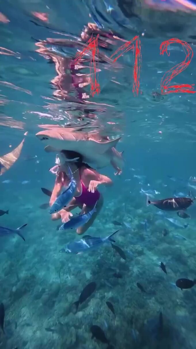 На Мальдивах экскурсия с акулами пошла не по плану.