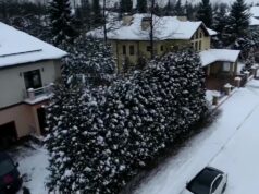 Главаря ОПГ «Корчаги» отправили в колонию на 25 лет за серию убийств и разборок в нулевых.