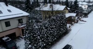 Главаря ОПГ «Корчаги» отправили в колонию на 25 лет за серию убийств и разборок в нулевых.