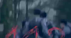 Мужчина ранил ножом сотрудника Росгвардии в Новой Москве.