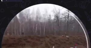 В распоряжении появились первые кадры с места схода вагонов в Ульяновской области.