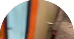 В перевернувшемся поезде Челябинск — Москва была солистка группы «Демо» Любовь Толкунова. Артистка е