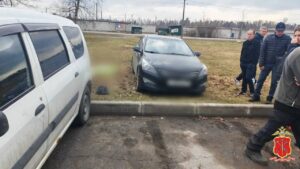 Мужчина перепутал газ с тормозом и насмерть задавил жену в Ленобласти.