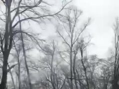 Два человека погибли в ДТП в Курской области.