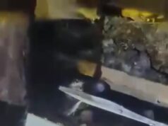 Женщина, которую спасли с ребенком из-под лавины в Дагестане, умерла в больнице.