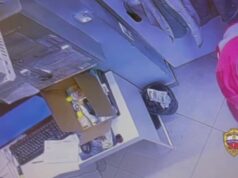 Москвич украл из зоомагазина чилийскую белку и спрятал её под одеждой.