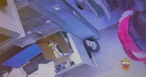 Москвич украл из зоомагазина чилийскую белку и спрятал её под одеждой.