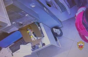 Москвич украл из зоомагазина чилийскую белку и спрятал её под одеждой.