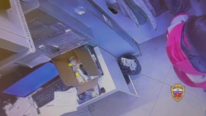 Москвич украл из зоомагазина чилийскую белку и спрятал её под одеждой.