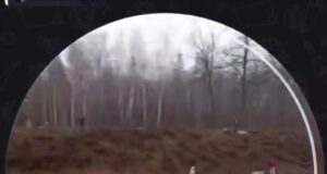 Инженеру, из-за действий которого восемь вагонов сошли с рельсов в Ульяновской области, избрали меру