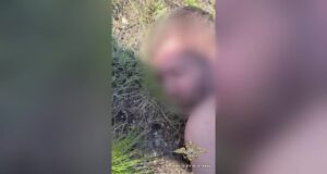 В СИЗО отправлен Сергей Басалаев, оказавший вооруженное сопротивление сотрудникам МВД в Аккермановке